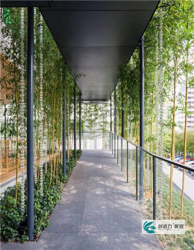 怎么搭建葡萄架子 99de86058db14cf5a6f935f8ee5edadb.jpeg