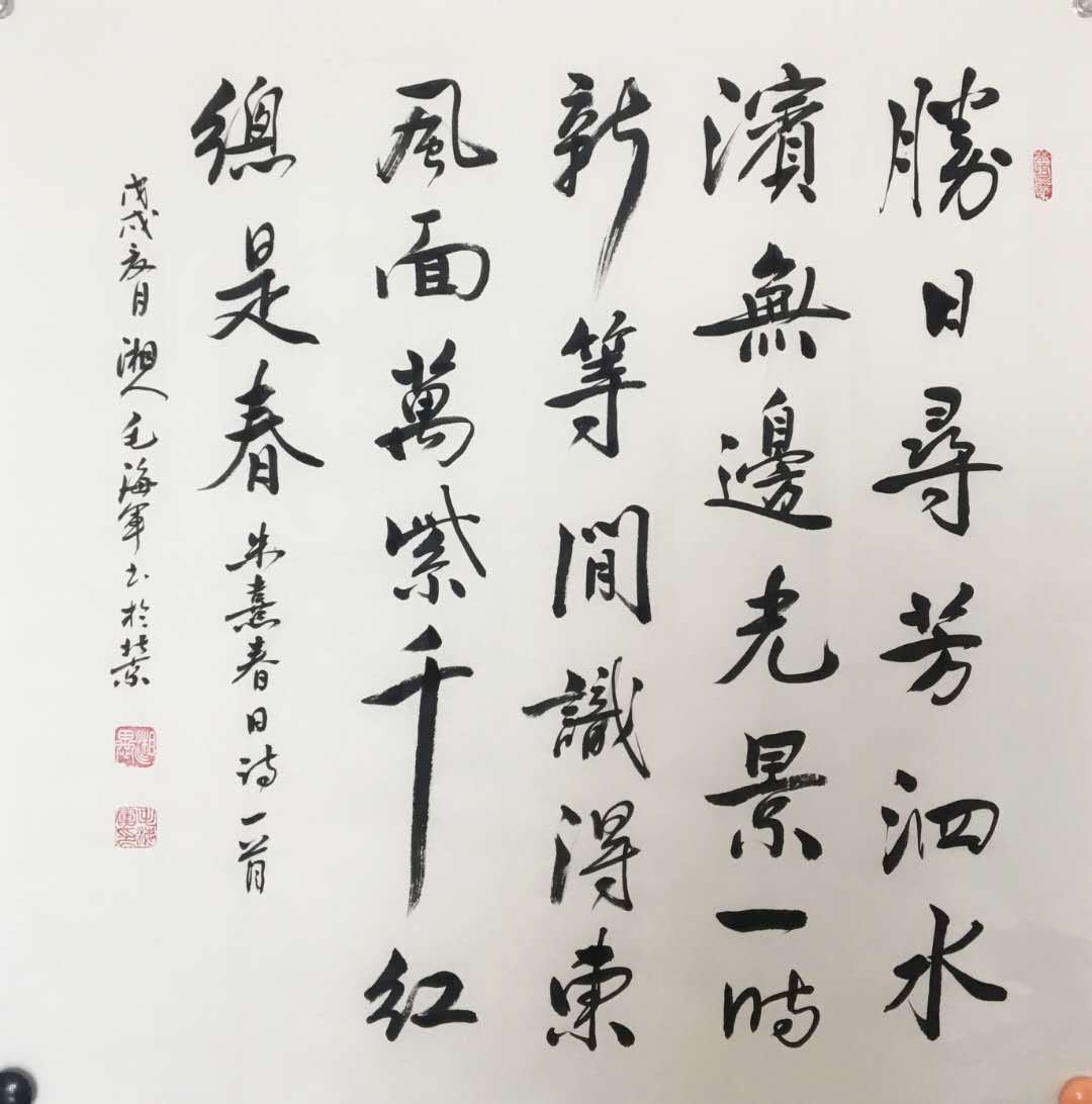 著名书法家——毛海军先生作品欣赏-搜狐大视野-搜狐新闻