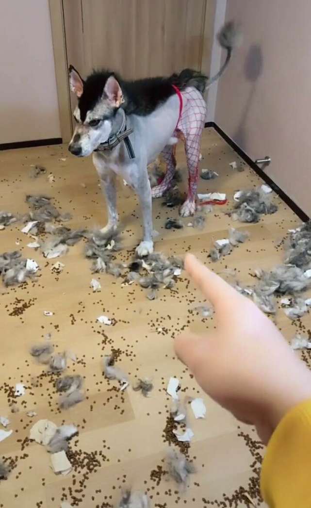c1a440f36ea143819853e1515522aa15.jpeg