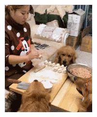 caaf204e902347a2845f8647b96fe616.jpeg
