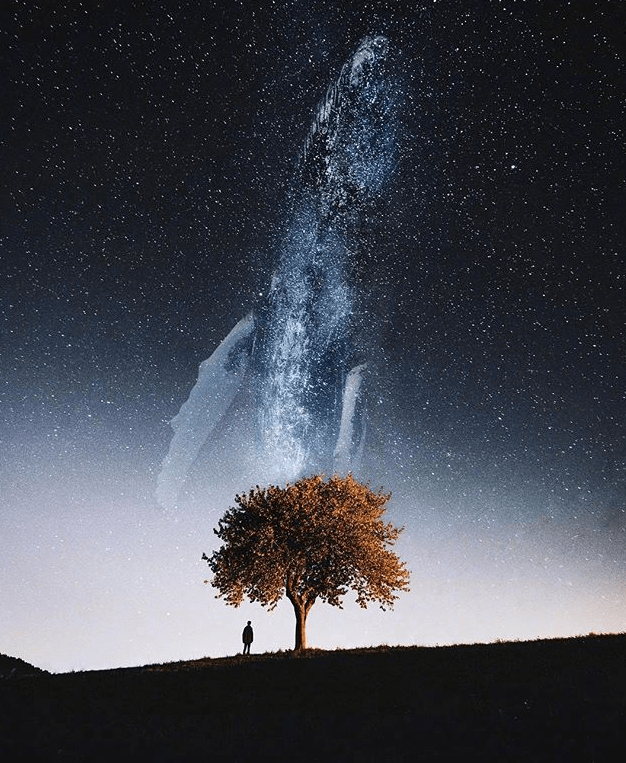 c9e41d26330840e0b86fabcd8b65846e.png