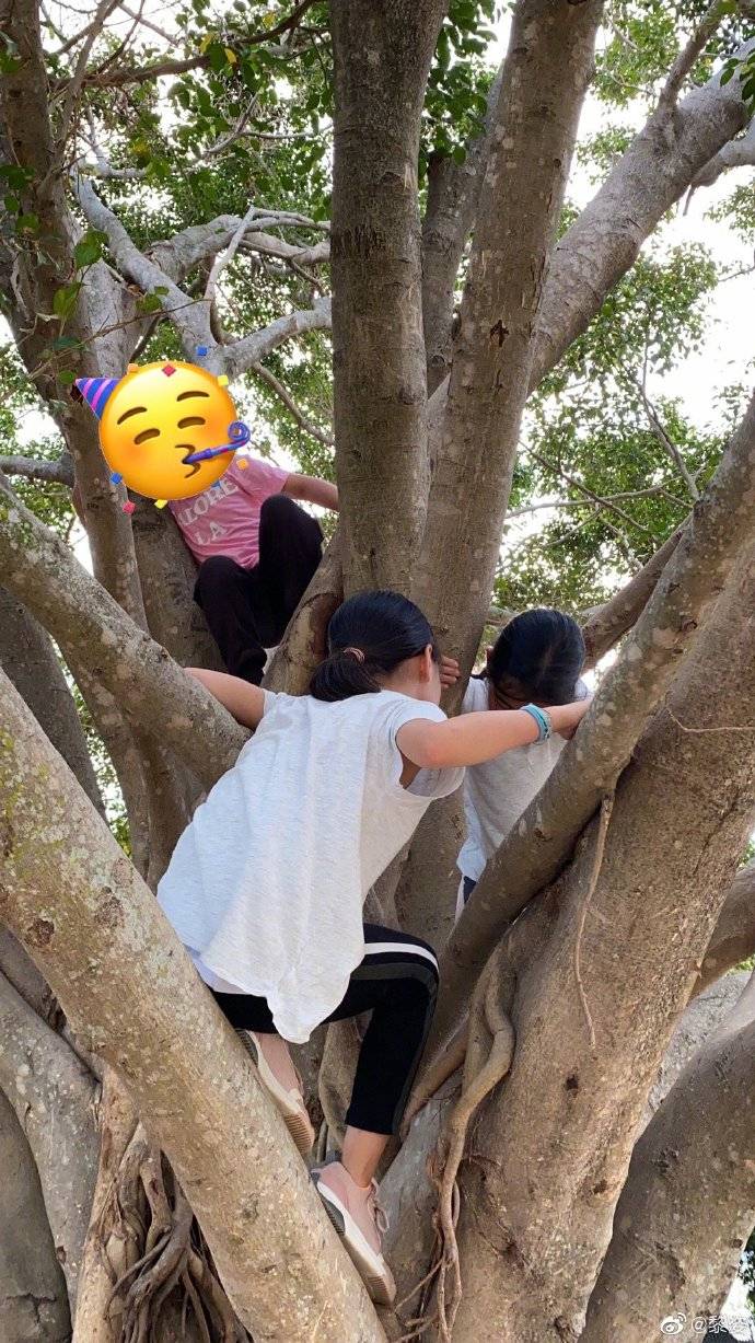 描写小孩爬树的说说