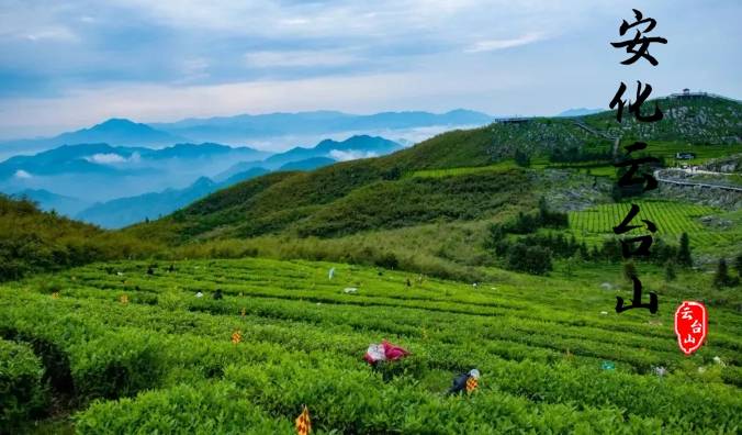 夏满芒夏暑相连,节气之美尽安化云台山