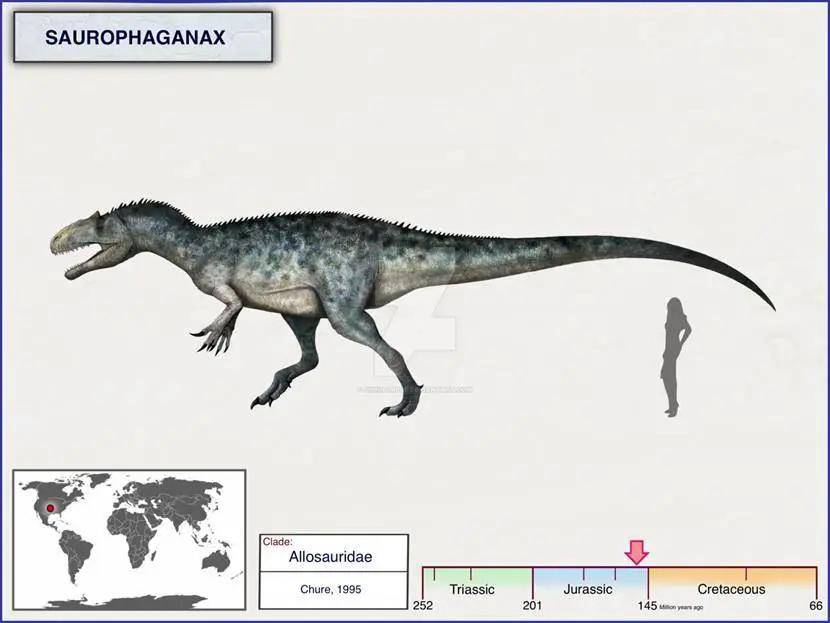 在没有鸭脖与泡椒凤爪的岁月里,恐龙为什么也会啃骨头?_化石