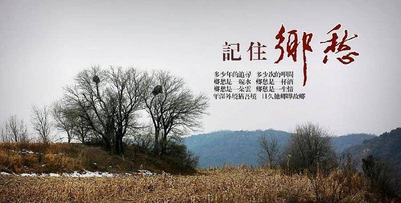 想娘微型小说贾自成