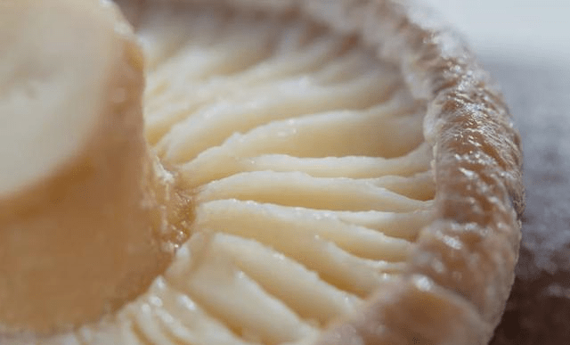 银耳怎么凉拌好吃又嫩 88e069d43cbe4bb2896c746527742aea.png