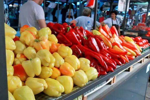 塞尔维亚人均gdp_塞尔维亚地图