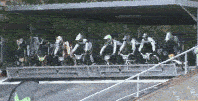 最美公交司机,开车好认真