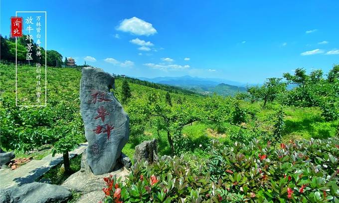 重庆放牛坪景区