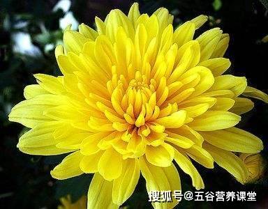 e89a98a609d1499989f1e397d64e1a49.jpeg