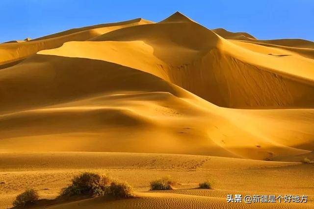 确认过眼神 夏天的新疆让你念念不忘_库木塔格沙漠