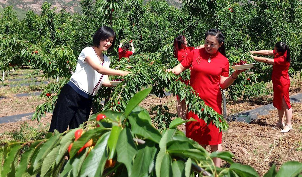 左权县有多少人口_左权 英雄热土 向山而歌(2)