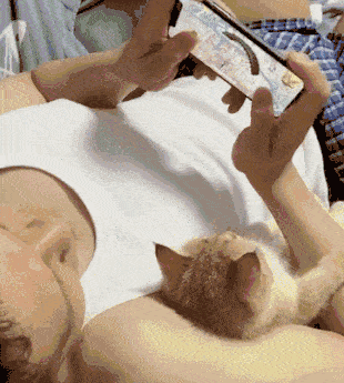 原创猫不粘人还爱咬人?那一定是打开方式不对,大猫都粘人,何况是猫