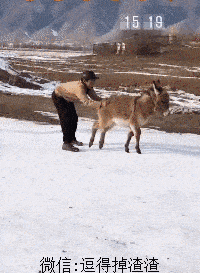 原创搞笑gif段子: 小时候的最爱,看懂的估计大部分都当爹了!