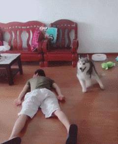 搞笑gif:妹子不用再笔比心了,我已经心动了