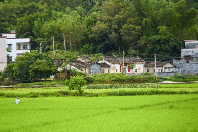 汕尾乡村旅游GDP_汕尾美丽乡村图片