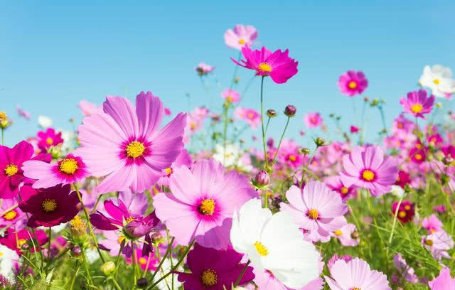 什么样的手有财有福气 ac49b8b22ee849a3805fd7a20d0d7102.jpeg