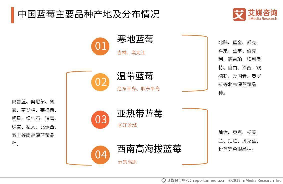 20192020中国蓝莓加工市场发展状况解读酒酵素化妆品