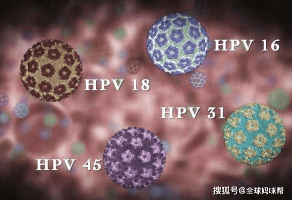 什么是hpv?