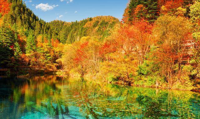 五个字的诗句秋天 f416b9401e7141bd82098c03fc5e6c86.jpeg