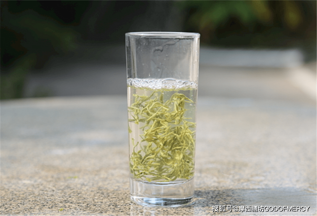 崂山绿茶的泡法