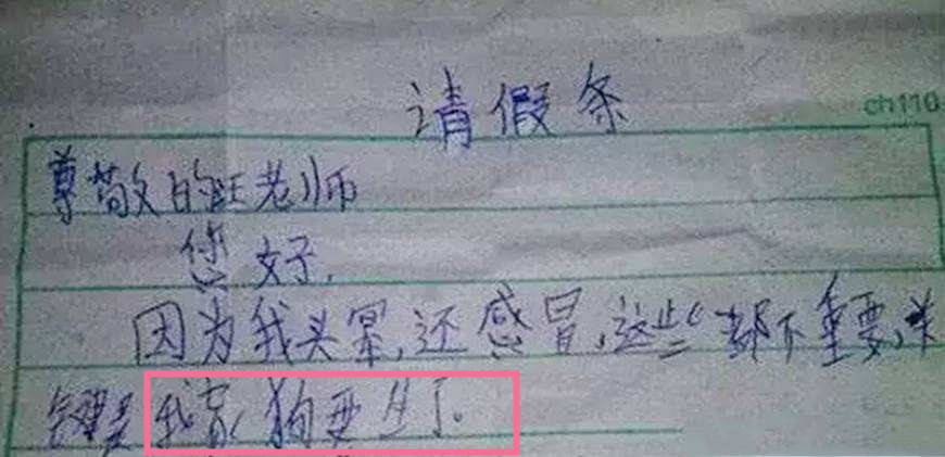原创小学生“宝藏请假条”走红，一本正经地“搞事情”，网友直呼有才