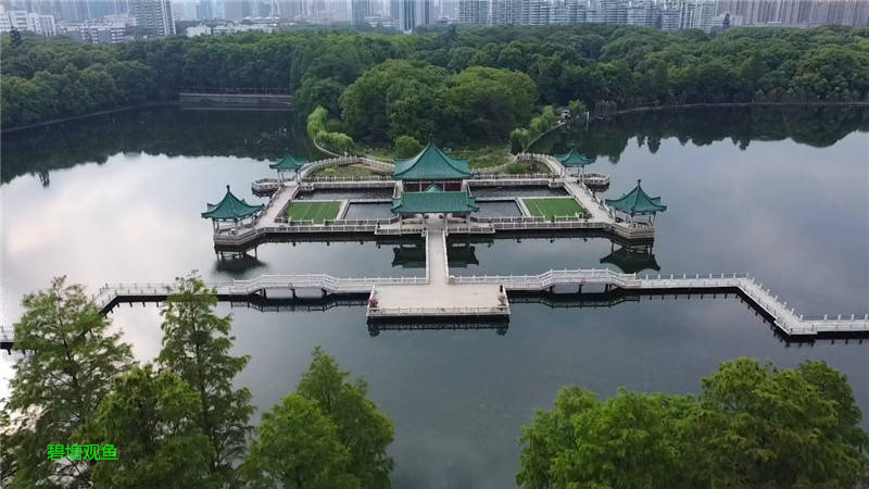 航拍东湖风景区听涛景区