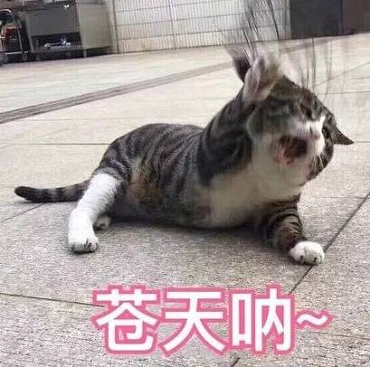 5c9a661d31ec4b38b067725c1c737a4c.jpeg