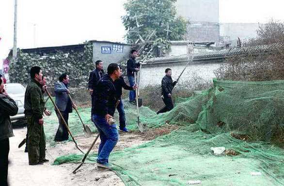 "赵林案"当年在当地如此轰动,为什么从来没有被正式过