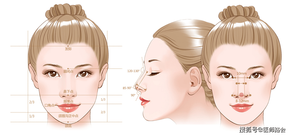 什么样的鼻型是标准的 ec419279ab2f4f1c8e7ac12c03e6ec33.png