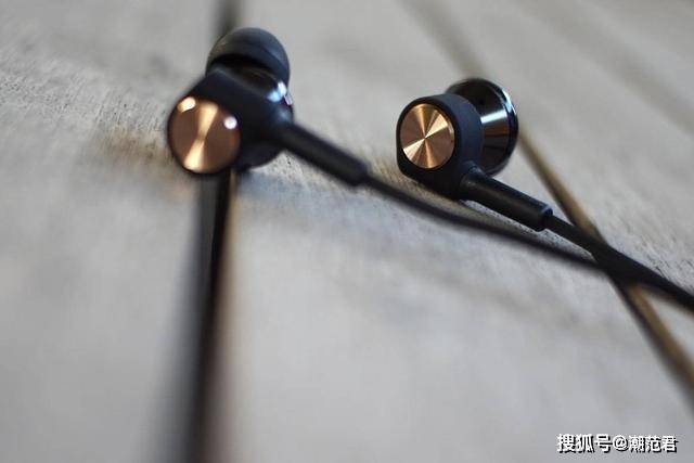 立耳器制作 bd4437c3a82c4c9b911cc2a15d2b1536.jpeg