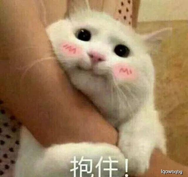 猫放屁是什么样 2ca8404d2dba4e1d8b0a8c7acc48843c.jpeg