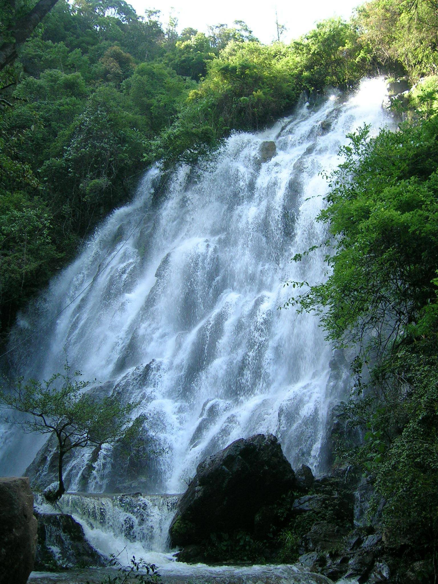 办公室山泉水泡茶