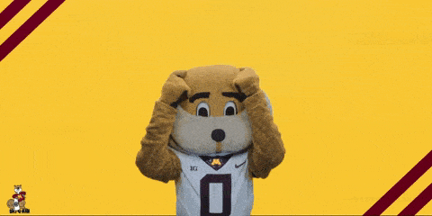 明大百科走进明尼苏达大学双子城校区的吉祥物goldygopher