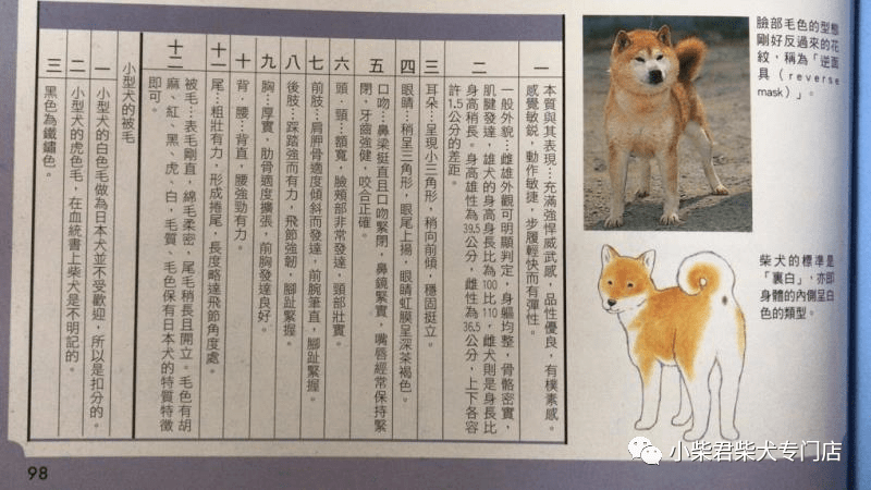 血統(tǒng)|為什么柴犬是日本天然紀(jì)念物