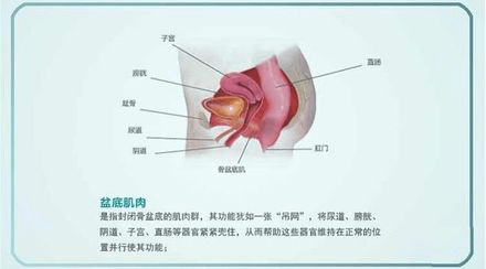 f9b94a3e40da4111a43172f6c4e15877.png