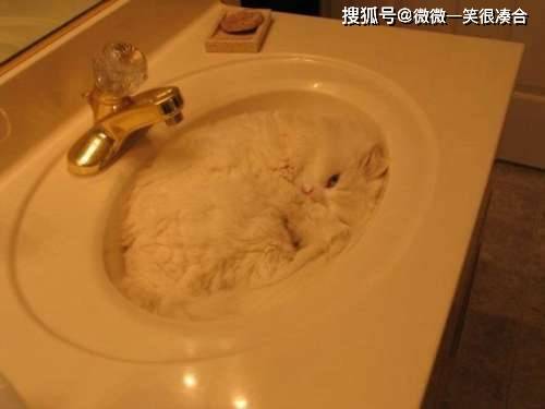原创等你走到医院啊，孩子也就该生了