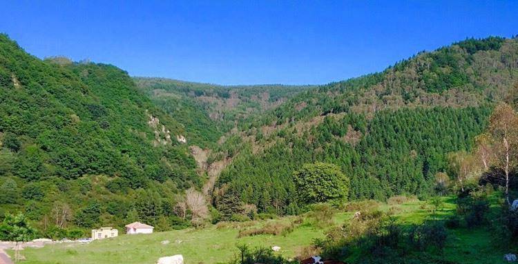 山西的张家界七里峪,原始纯净清凉宜人,离市区仅2个钟头