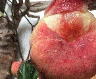 98aecef7513d4f5595e1eae5c198c87b.jpeg