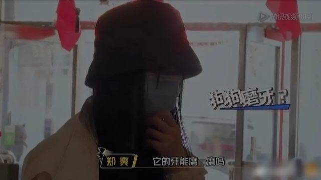 郑爽被团队发律师函，又撕起来了？网友：戏真