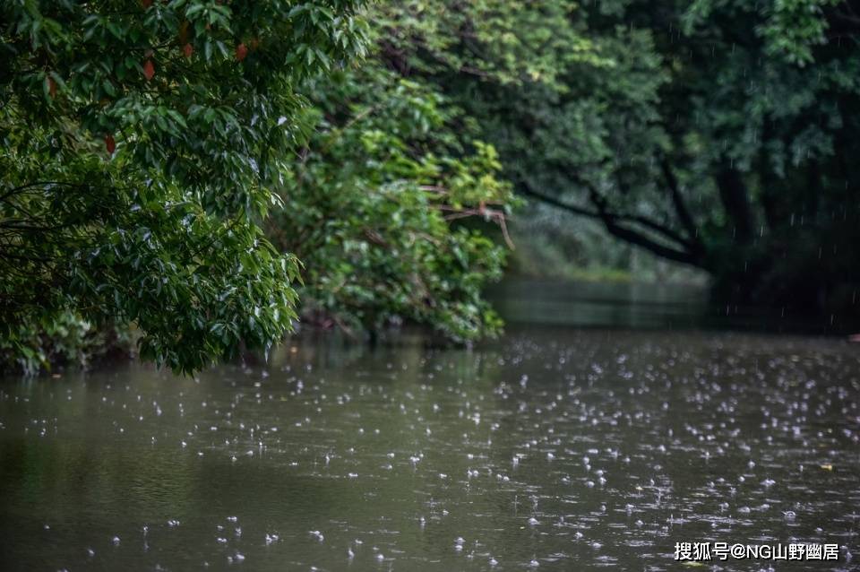 西溪湿地|流传近百年的“西溪且留下”，究竟是何种意境？可到杭州亲身感受