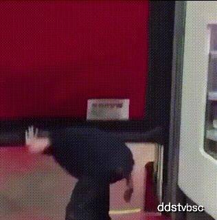 如何给女生拍马屁 89ad0886d01a4d1786ecc78a912dceca.jpeg