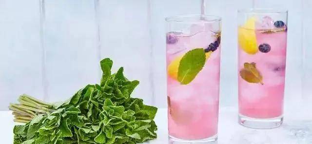周杰伦歌曲《mojito》原来是杯经久不衰的鸡尾酒