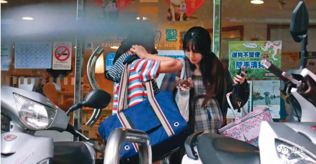 郭碧婷怀孕6个月,却还是单身?她的豪门媳妇脸可复制吗?