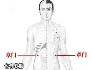 十,章门穴