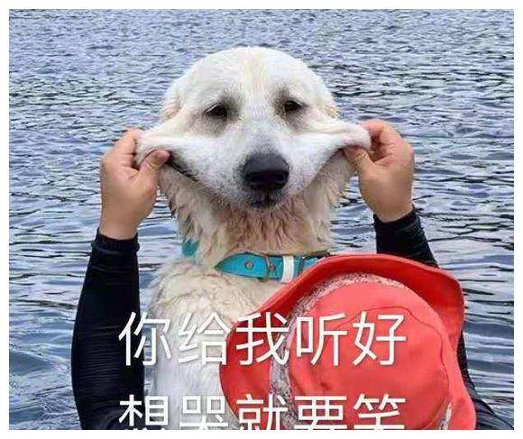 表情包:不要以为我不在,我随时都在_小快乐