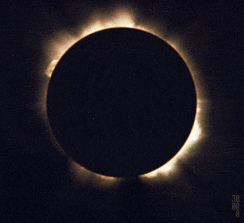 4a56ae628f4f4d85a3986966c74e65ad.gif