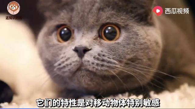 54e351fc8aac4fd9b192b9c90014465d.jpeg