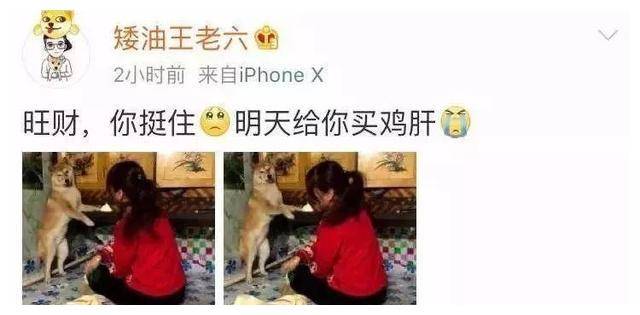 a86d56a9b1384cfba92daadc512191a9.jpeg