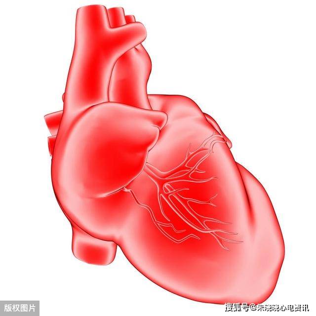 心脏不好有这些表现
